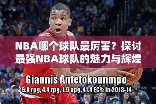 NBA球队介绍：认识联盟中的每一支球队-fb体育